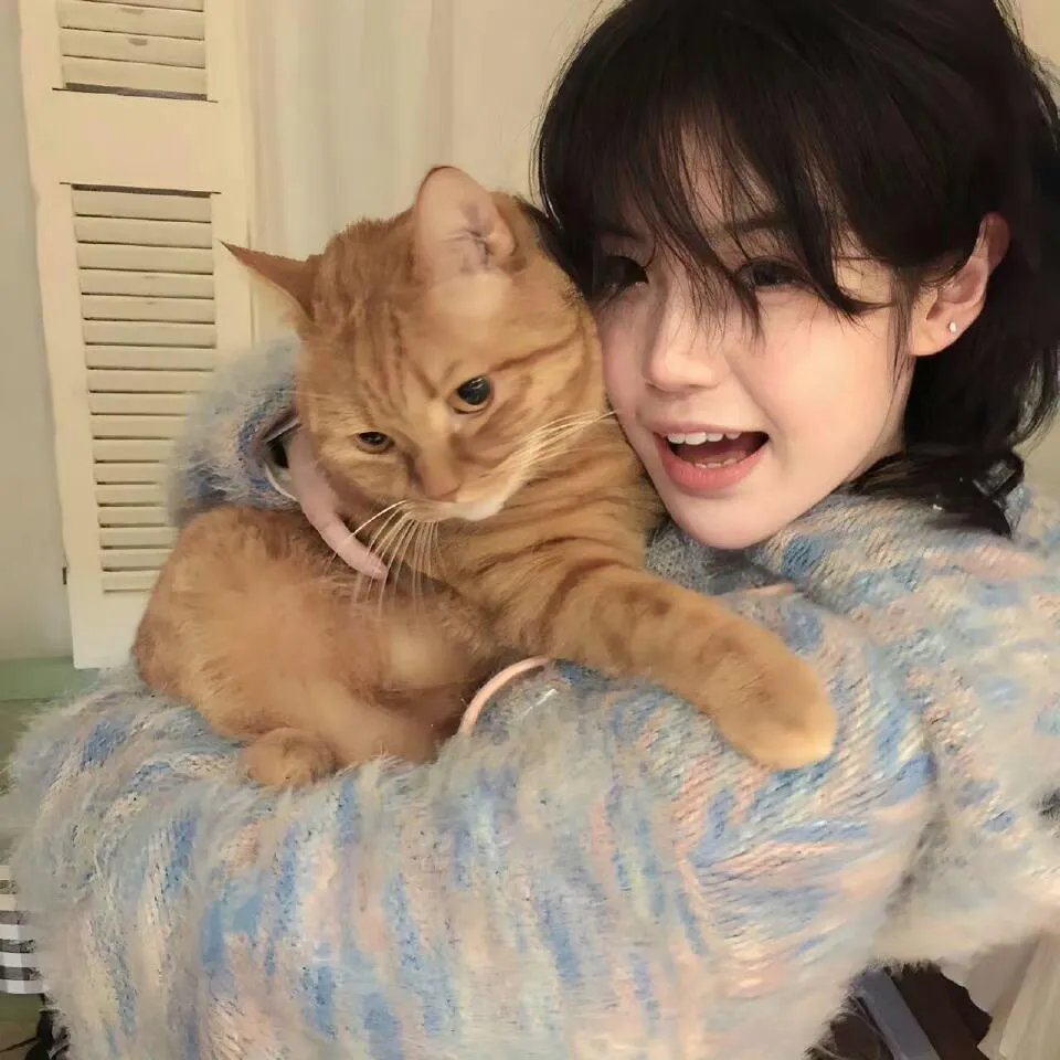 公猫